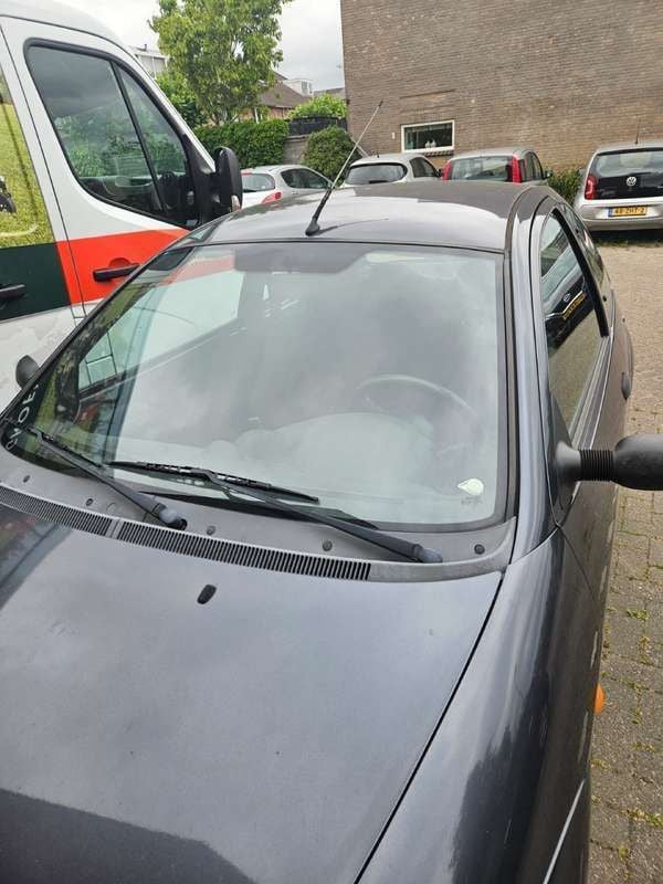 Afbeelding 4/4