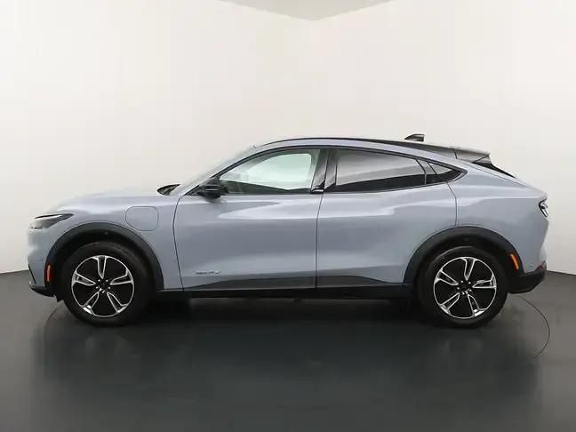 Nieuw Ford Mustang Mach-E 216 kW (294 PK) 2025 Grijs SUV