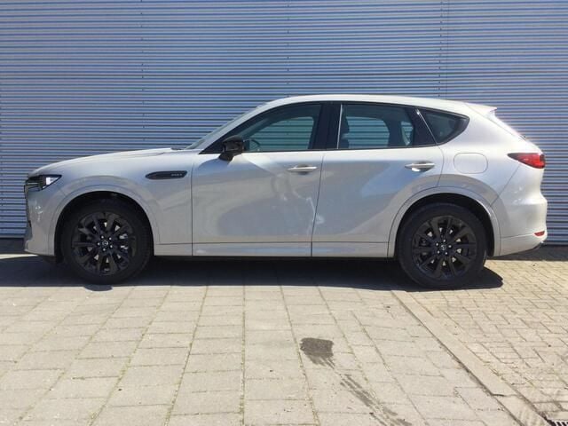 Afbeelding 2