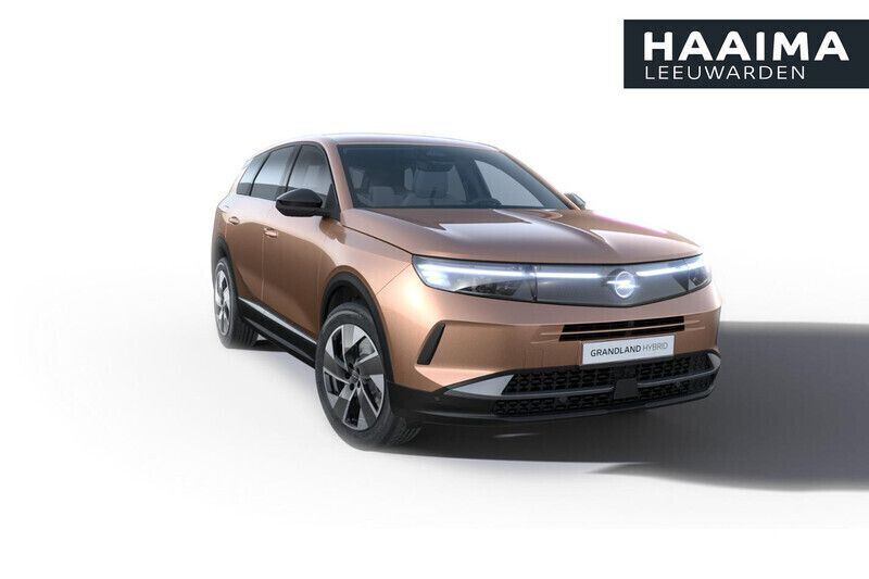 Bruin Nieuw 2025 Opel Grandland X SUV | € 48.098 - Afbeelding 1/4