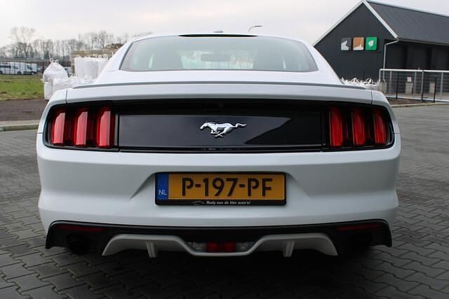 Occasion Ford Mustang Fastback 317 PK (233 kW) 2017 Wit Coupé