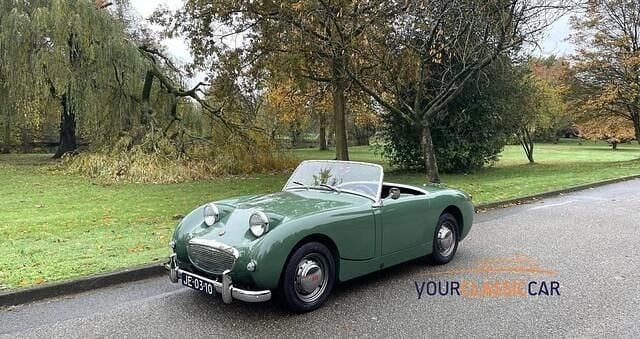 Occasion Austin Austin-Healey Sprite 64 PK (47 kW) 1959 Groen