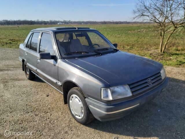 Overige Gebruikt 1990 Peugeot 309 Hatchback | € 2.990 - Afbeelding 1/4