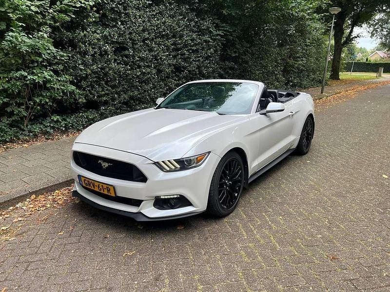 Occasion Ford Mustang GT Performance Edition 310 PK (228 kW) 2018 Wit Cabriolet