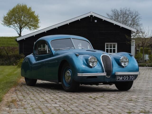 Afbeelding 3/4