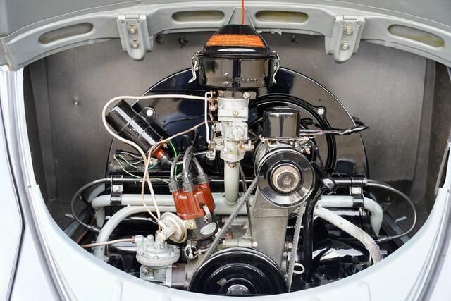 Occasion VW Beetle 1955 Grijs