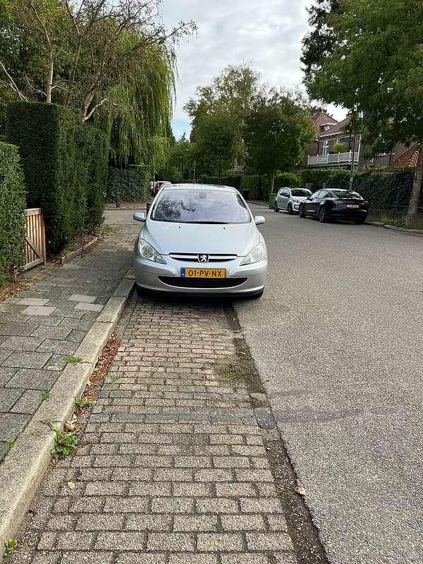 Zilver Gebruikt 2005 Peugeot 307 Premium Hatchback | € 3.250 (Duur) - Afbeelding 1/4