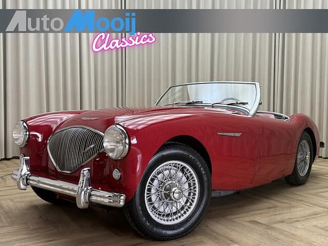 Rood Gebruikt 1956 Austin Healey 100 Cabriolet | € 32.500 - Afbeelding 1/4