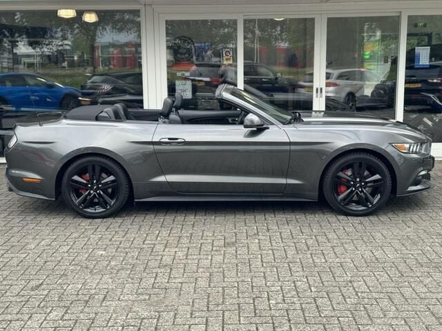 Afbeelding 4/4