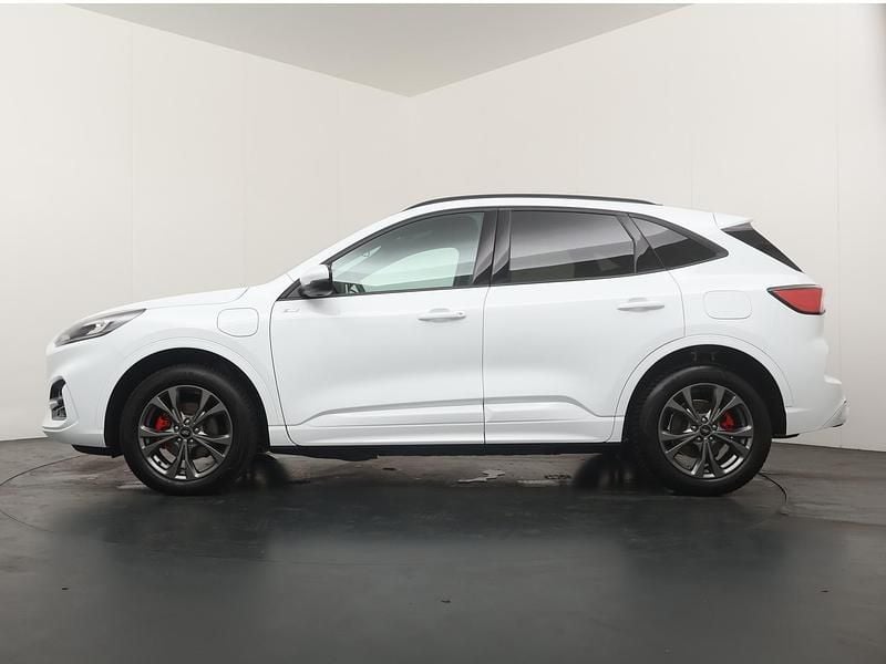 Occasion Ford Kuga ST-Line 2026 Wit SUV