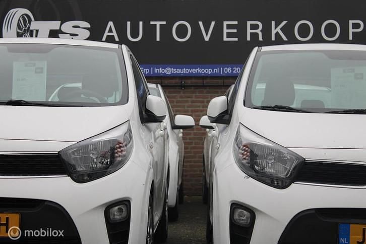 Occasion Kia Picanto Comfort 67 PK (49 kW) 2020 Wit Hatchback