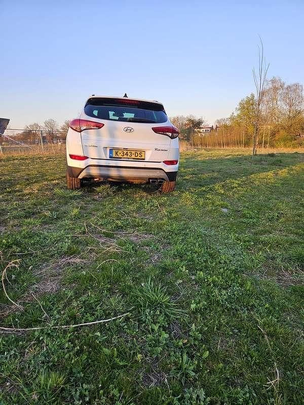 Occasion Hyundai Tucson Premium 177 PK (130 kW) 2016 Wit SUV