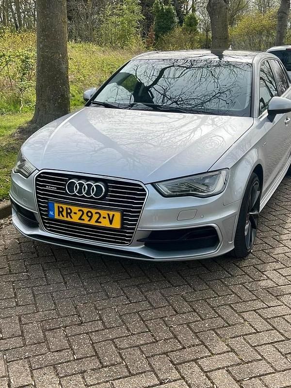 Gebruikt 2015 Audi e-tron SUV | € 8.950 - Afbeelding 1/4