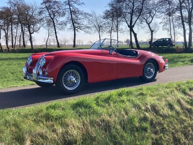 Occasion Jaguar XK 1954 Rood Cabriolet