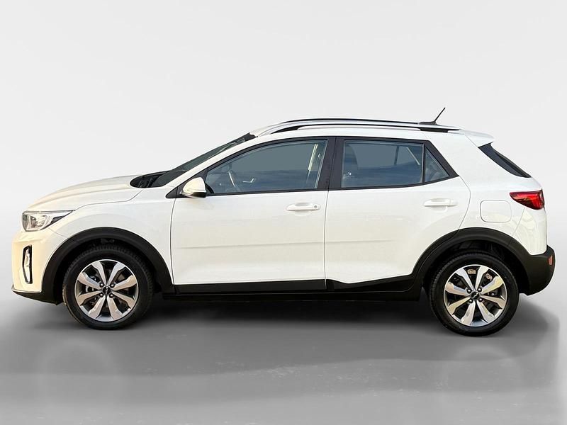 Occasion Kia Stonic 101 PK (74 kW) 2023 Clear white (ud) SUV