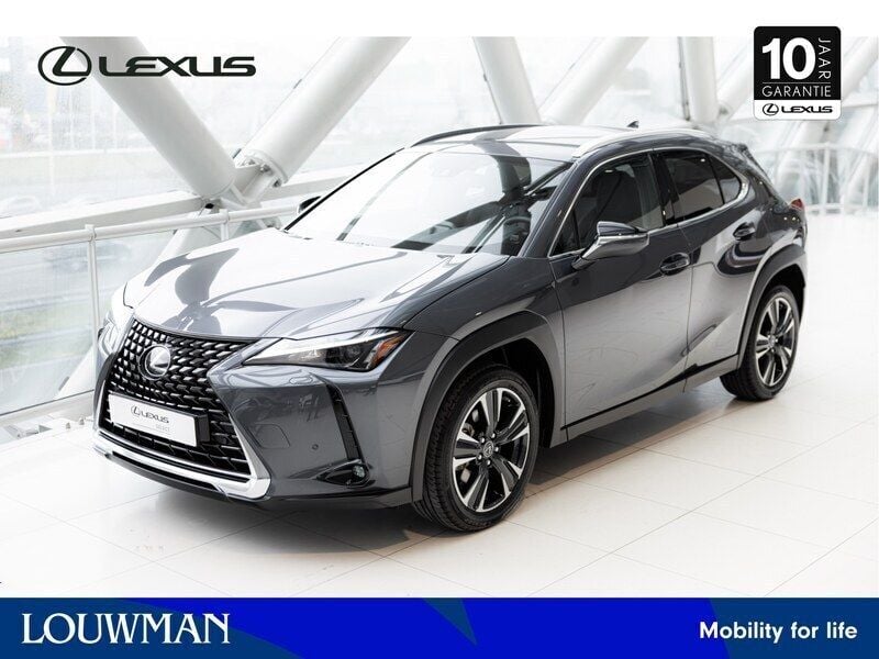 Occasion Lexus UX Business Edition 184 PK (135 kW) 2024 Grijs, metallic lak SUV