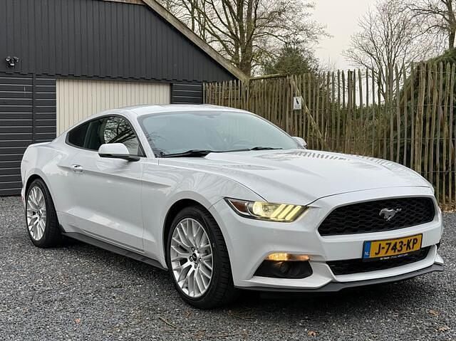 Occasion Ford Mustang Performance Edition 315 PK (231 kW) 2015 Wit Coupé