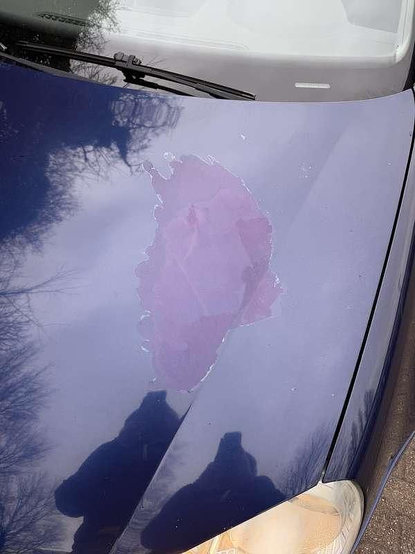 Occasion VW Golf IV 116 PK (85 kW) 2005 Blauw Hatchback