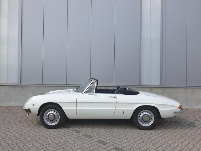 Occasion Alfa Romeo Spider 118 PK (86 kW) 1969 Wit Cabriolet