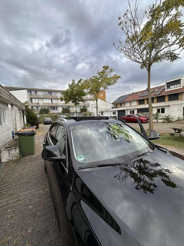 Occasion Audi Q5 190 PK (139 kW) 2016 SUV