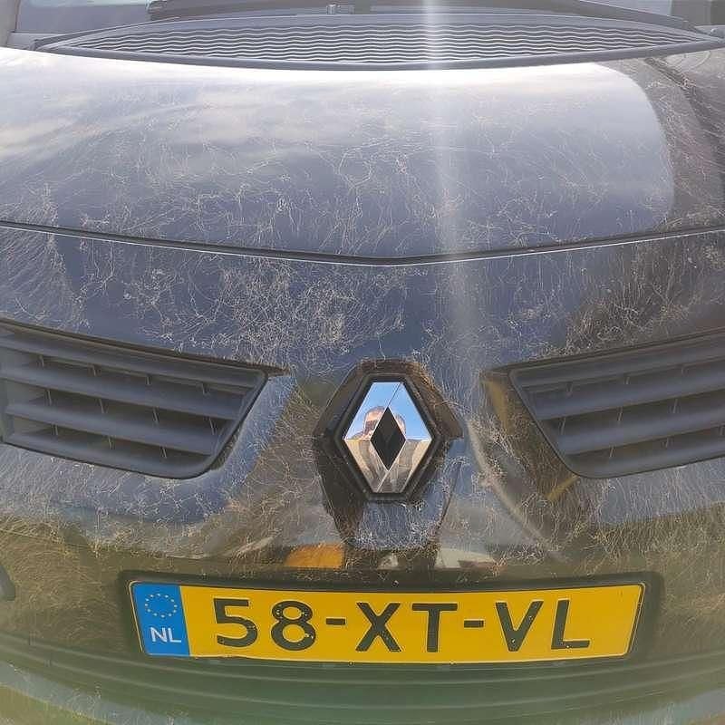 Afbeelding 4/4