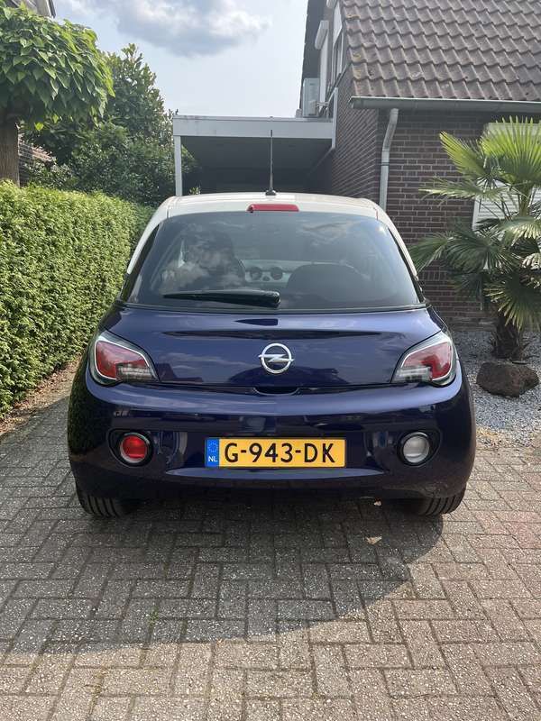 Afbeelding 4/4