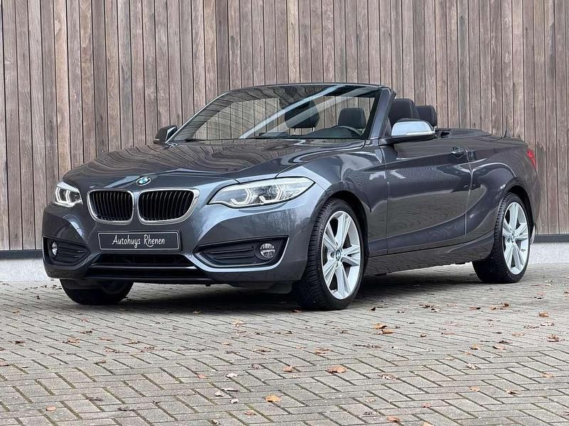 Occasion BMW 220 Executive 184 PK (135 kW) 2018 Grijs (metallic) Cabriolet