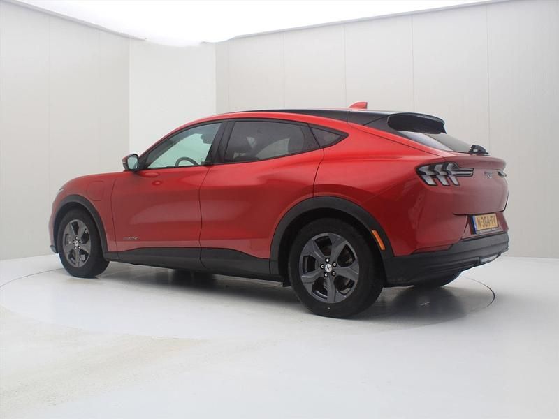 Occasion Ford Mustang 270 PK (198 kW) 2021 Rood SUV