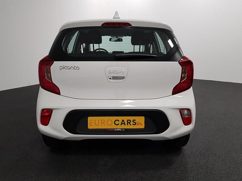 Occasion Kia Picanto 67 PK (49 kW) 2023 Wit Hatchback