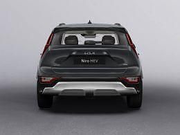 Nieuw Kia e-Niro 102 kW (139 PK) 2025 Zwart metallic SUV