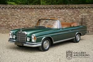 Groen Gebruikt 1964 Mercedes 220 SE Cabriolet | € 149.500 - Afbeelding 1/4