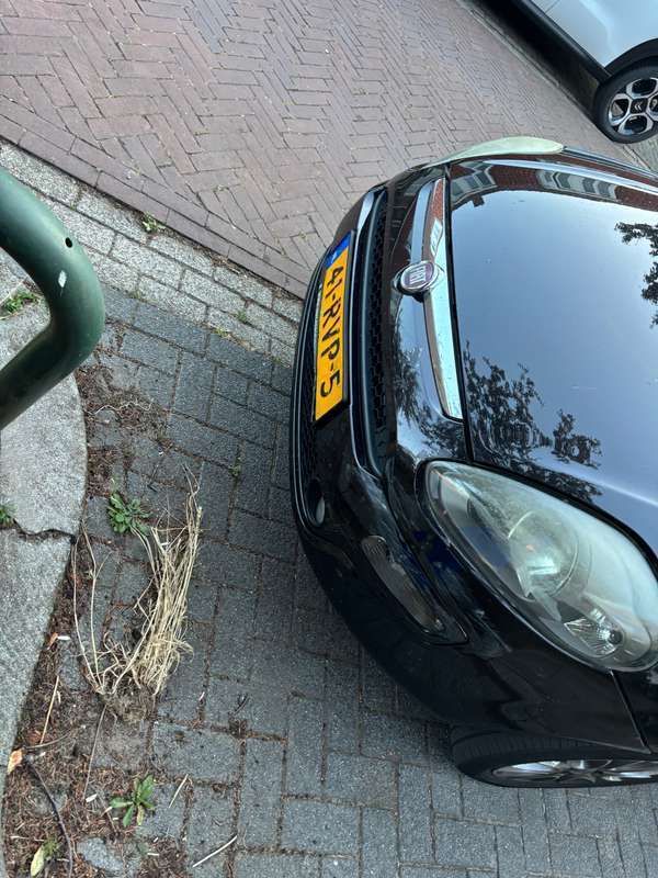 Afbeelding 4/4