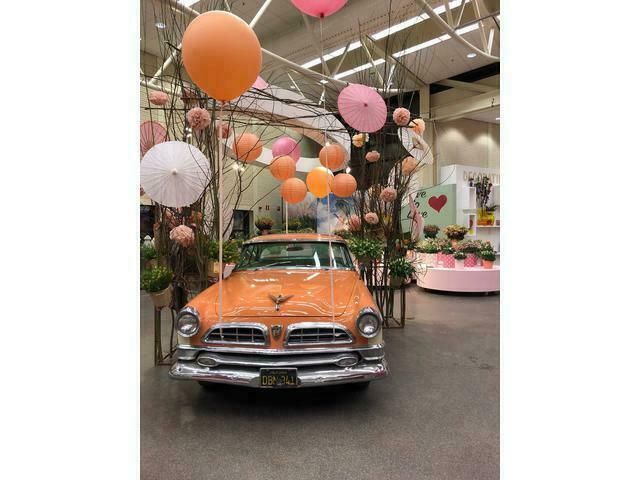 Wit Gebruikt 1955 Chrysler New Yorker Sedan | € 24.850 - Afbeelding 1/4