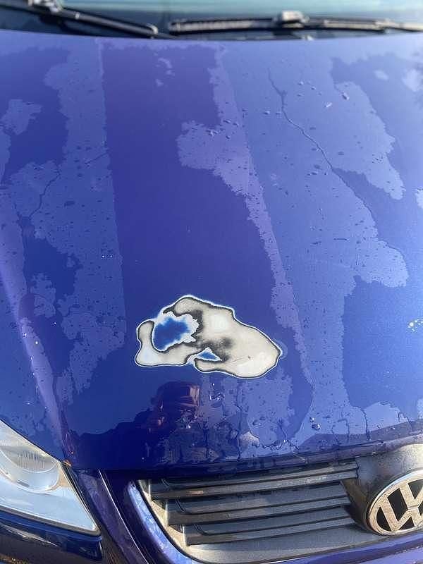 Occasion VW Polo Trendline 54 PK (39 kW) 2006 Hatchback