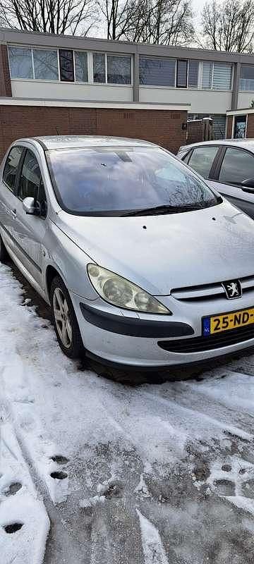 Grijs Occasion 2003 Peugeot 307 Hatchback | € 550 (Goede deal) - Afbeelding 1/4