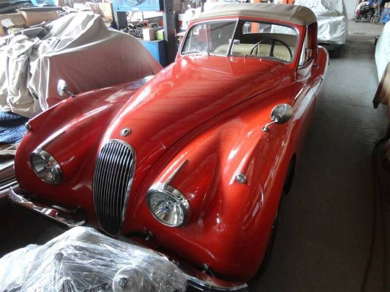 Rood Gebruikt 1954 Jaguar XK Cabriolet | € 79.500 - Afbeelding 1/4