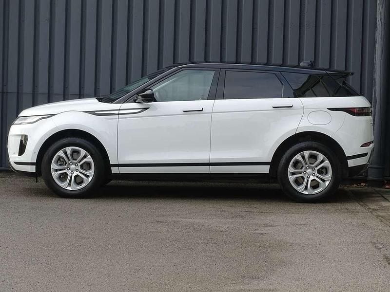 Occasion Land Rover Range Rover evoque R-Dynamic 309 PK (227 kW) 2022 Wit SUV