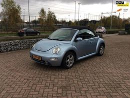 VW Beetle