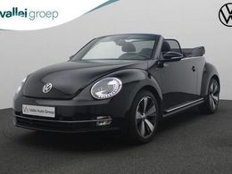 VW Beetle