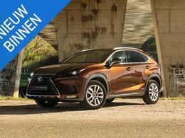 Lexus NX300h