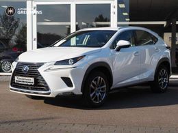 Lexus NX300h