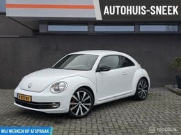 VW Beetle