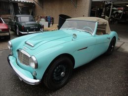 Austin Healey 100/6