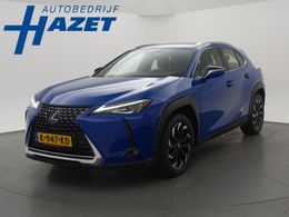 Lexus UX 300e