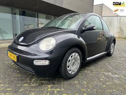 VW Beetle