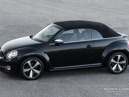 VW Beetle