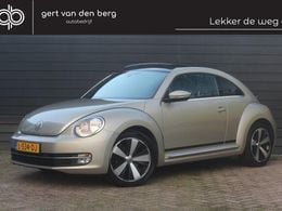 VW Beetle