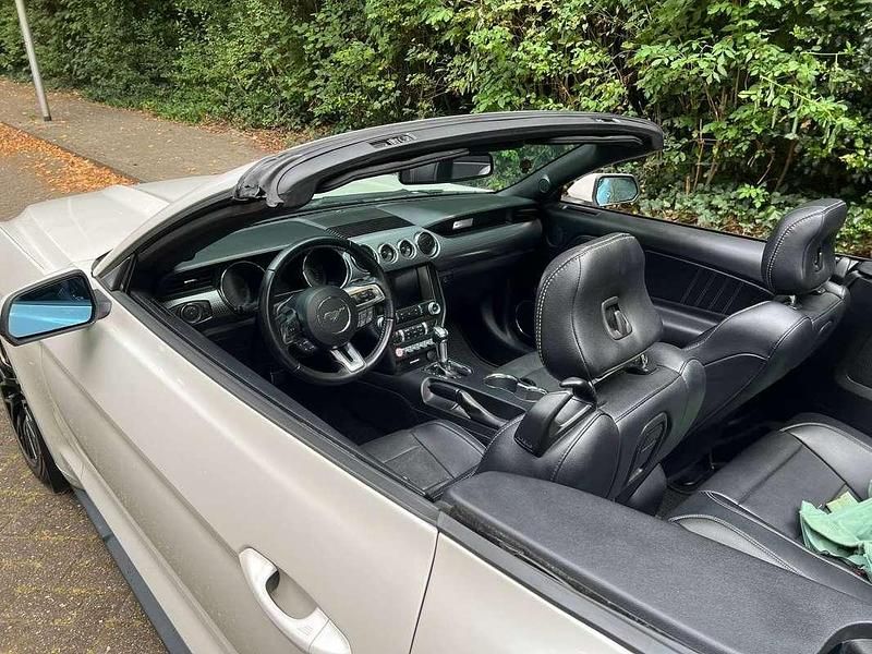 Occasion Ford Mustang GT Performance Edition 310 PK (228 kW) 2018 Wit Cabriolet