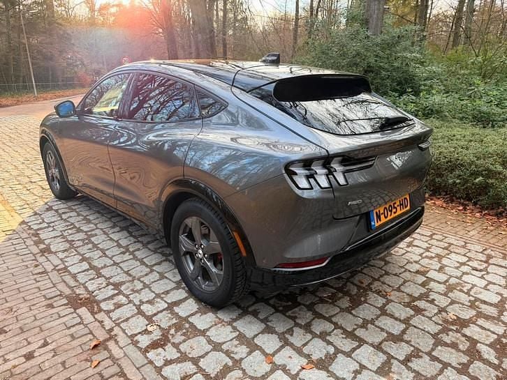 Occasion Ford Mustang Mach-E 275 kW (375 PK) 2021 SUV