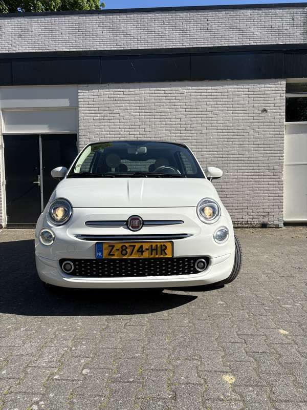Afbeelding 3